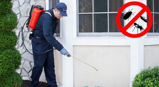 Hamamözü Dezenfeksiyon böcek ilaçlama ve haşere kontrolü — ilaclama-tr.com